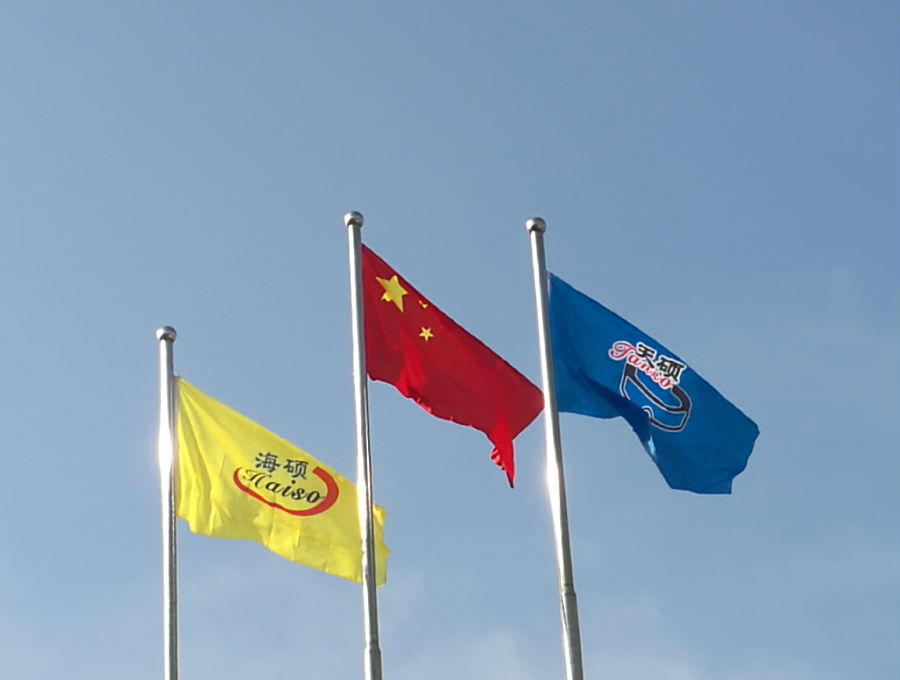 海碩螺桿泵